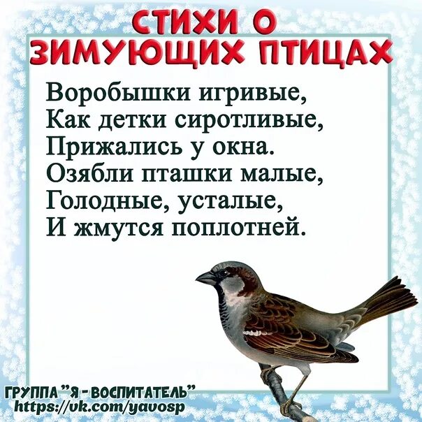 15 Января день зимующих птиц России. Стих е о зимкющмх птицпх. Всемирный день зимующих птиц. Стихи про зимующих птиц.