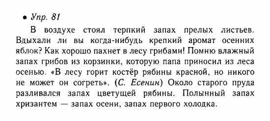 Упр 81 по русскому языку 3 класс. Русский язык 6 класс номер 81. гдз по русскому языку 6 класс упражнение 81. упражнение 81 6 класс. русский язык 6 класс ладыженская номер 81.