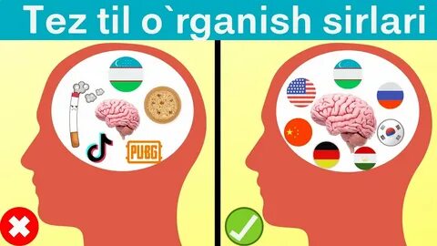 O rganish