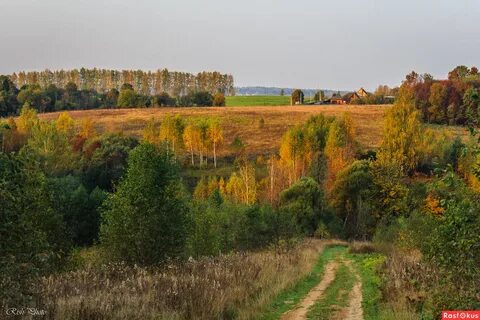Осень в подмосковье