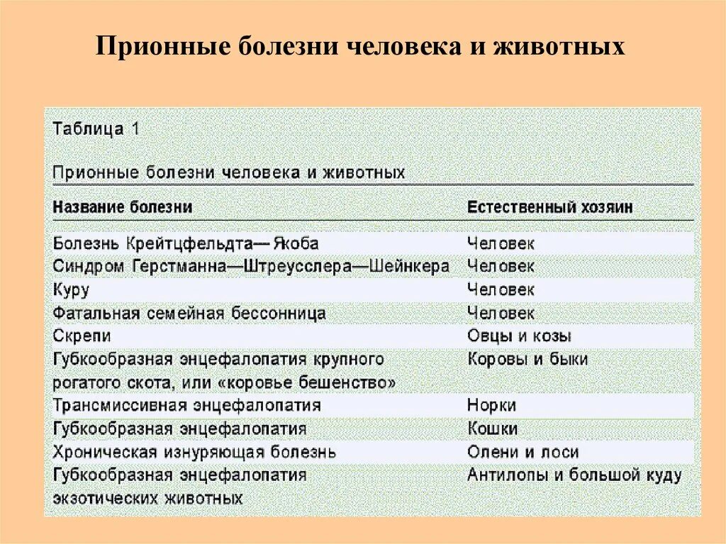 Примеры заболеваний животных. Прионные болезни. Заболевания вызываемые прионами. Прионные болезни человека и животных. Заболевания человека, вызываемые прионами.