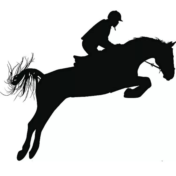 Логотип лошадь. Конный спорт логотип. Символ конного спорта. Верховая езда логотип. Ride the chariot