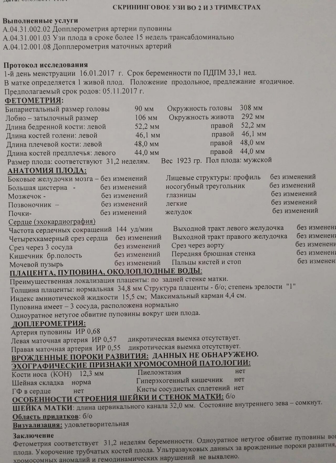 УЗИ 2 триместра нормы расшифровка УЗИ. Протокол УЗИ 2 скрининг при беременности. Протокол третий триместр УЗИ. Протокол УЗИ беременности 3 триместр нормы расшифровка.