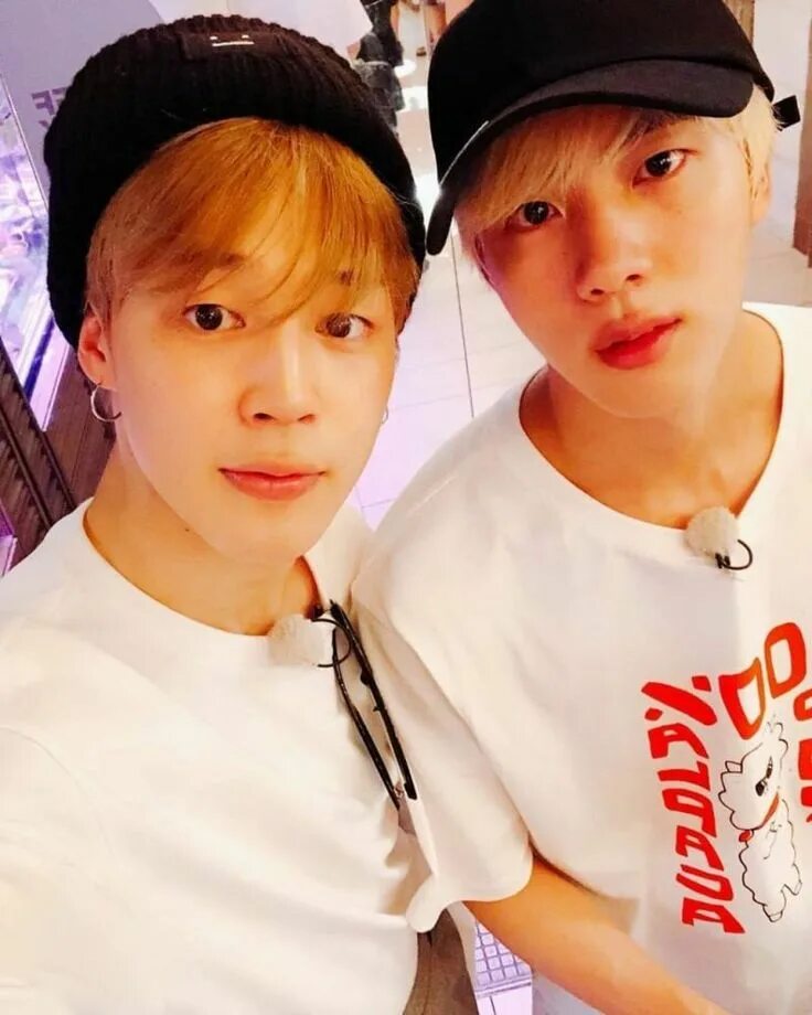 Чимин и Сокджин. Джин и Чимин. Джин и Чимин БТС. BTS Jin and Jimin. Bts братья