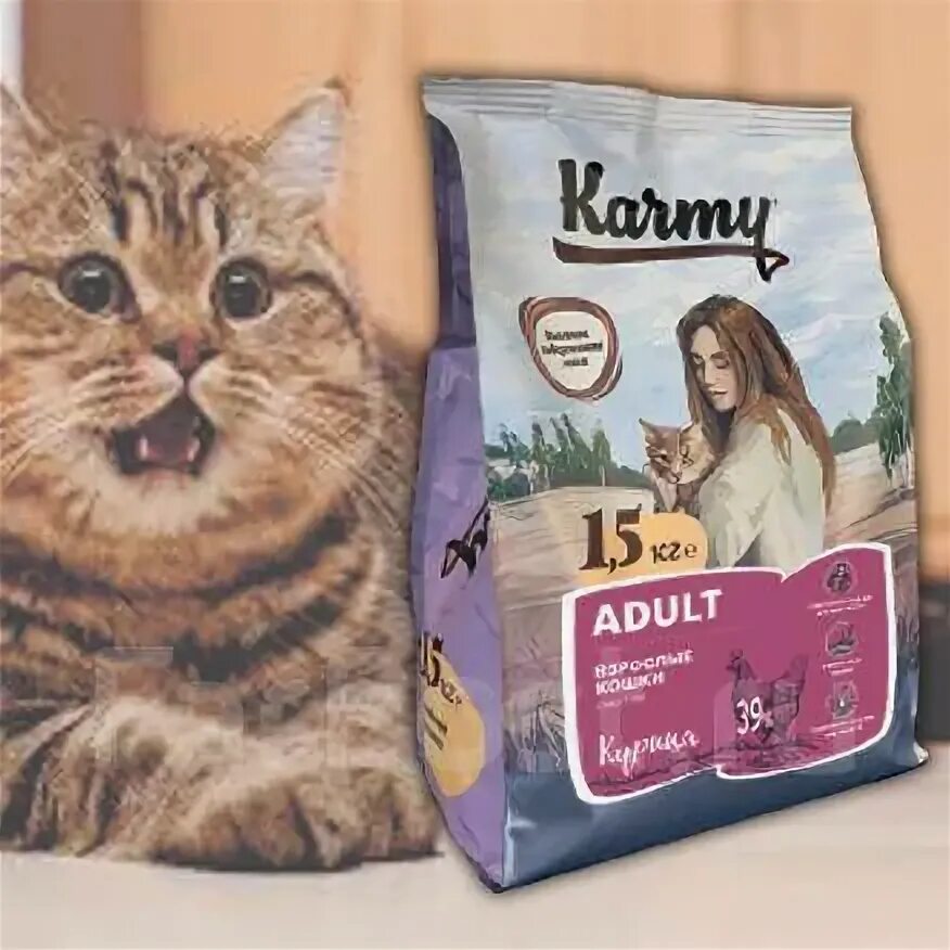 Karmy корм для кошек с курицей. Karmy влажный корм. Karmy Карми пауч Эдалт лосось. Корм сухой karmy Adult с курицей для взрослых кошек старше 1 года 0,4 кг..