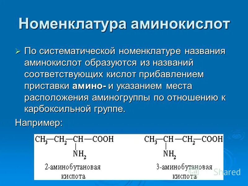 Аминокислота образуется в процессе