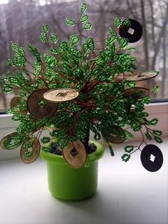 Денежное дерево авито