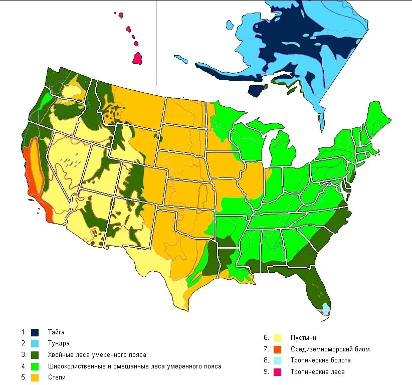 Карта природных зон США. Карта Штатов природных зон США. Климатические зоны США карта. Климатические пояса США карта.