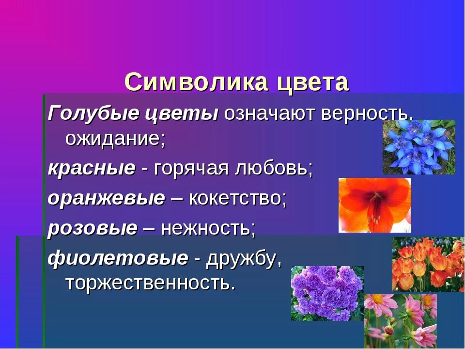 Символика цветов. Что символизируют цветы. Цветы и их обозначения. Обозначение цветов цветов