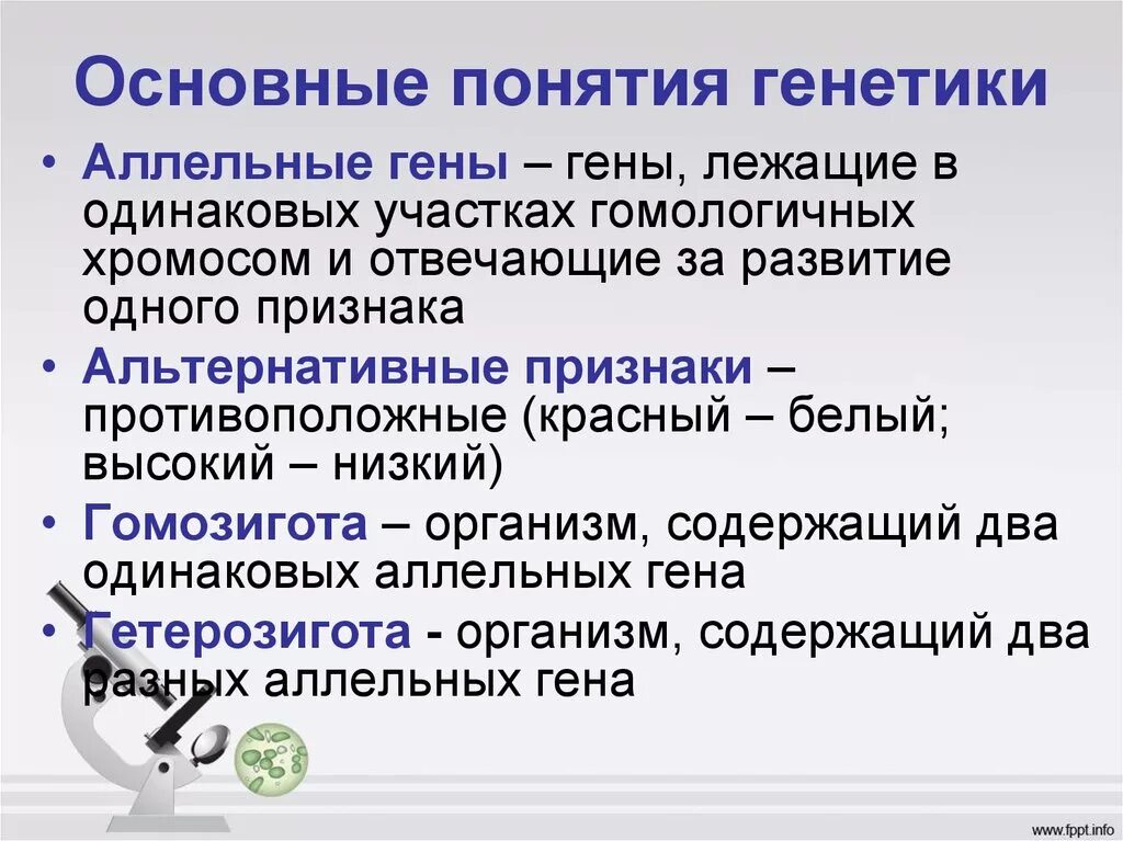 Основные понятия генетики. Генетика основные понятия. Понятия в генетике. Основные термины генетики.