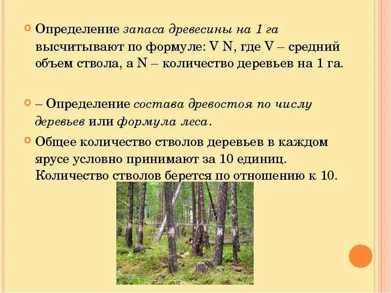Сколько деревьев на гектаре. Запас насаждения формула. запас древесины на 1 га. объём древесины на 1га лесосеки. плотность деревьев на 1 га.