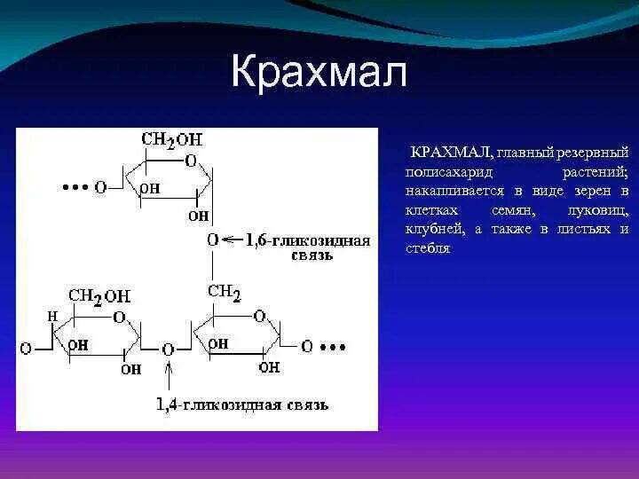 Промежуточный продукт переваривания крахмала. Крахмал в клетках растений накапливается. Крахмал выполняет функцию. Переваривание крахмала реакция.