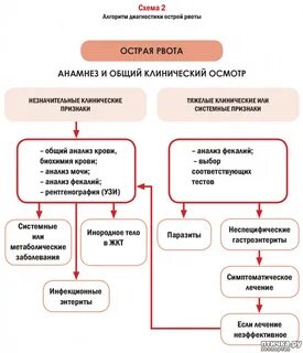 Обследование при тошноте