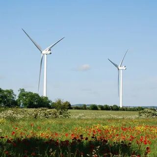 Wind plant