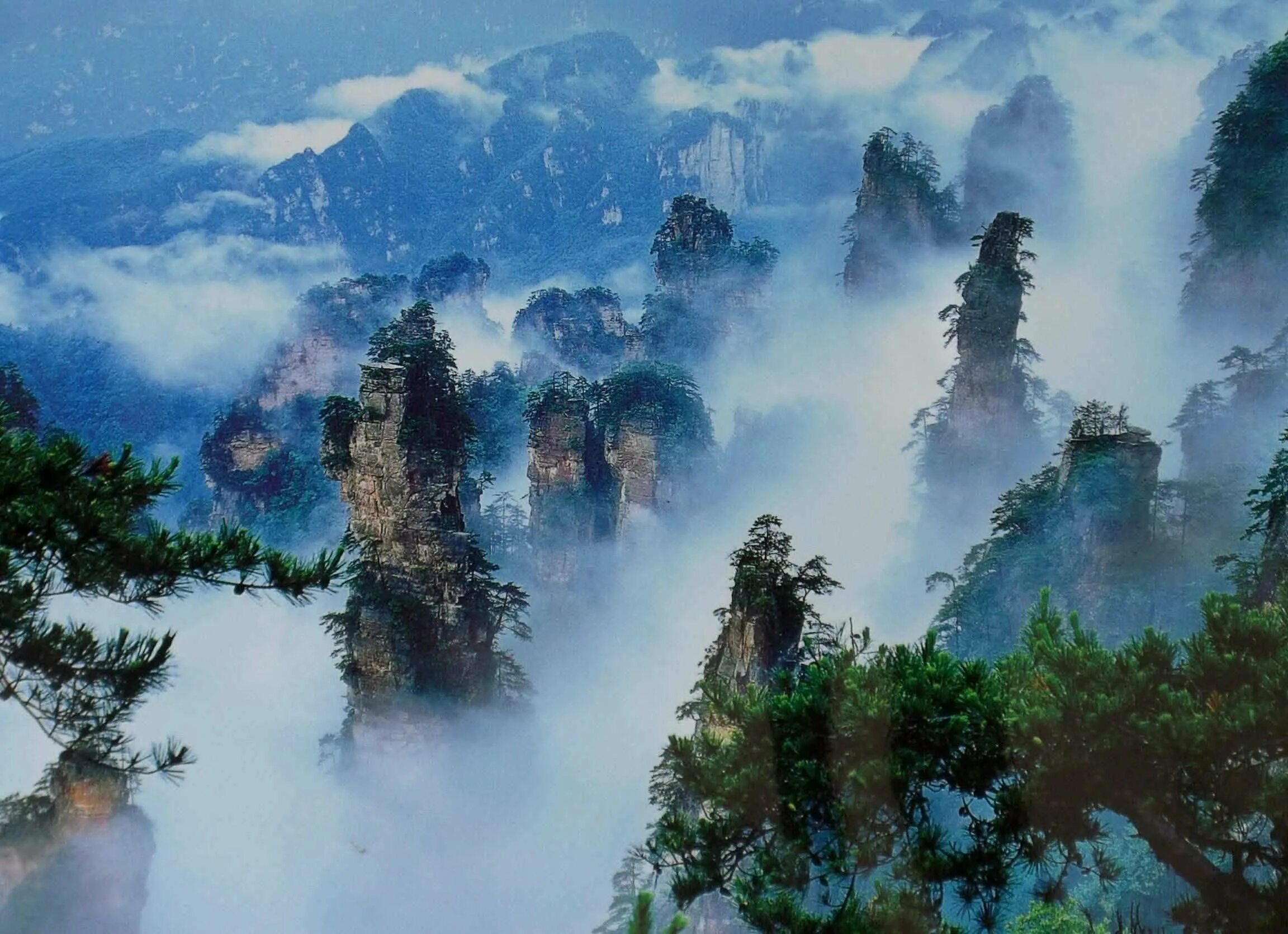 Горы аватара в китае. Tianzi mountain, zhangjiajie national park. национальный парк чжанцзяцзе горы из аватара. национальный парк чжанцзяцзе водопад. национальный парк чжанцзяцзе растения.
