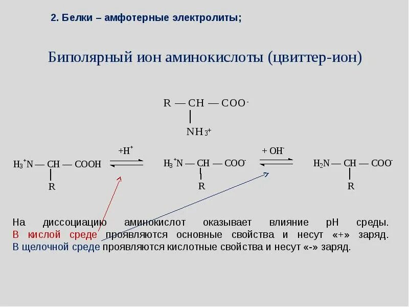 Цвиттер ионы биохимия. Аланин проявляет амфотерные свойства