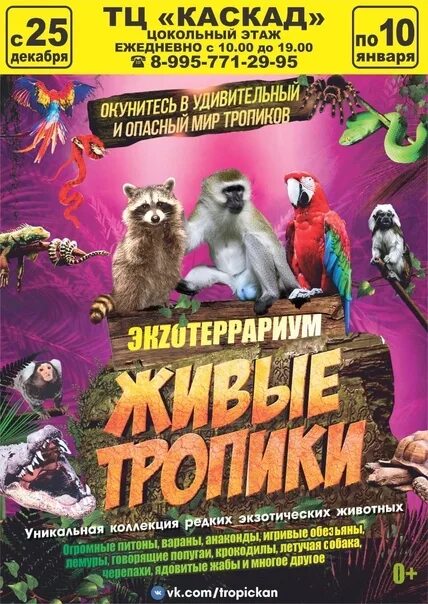 Живые тропики тольятти акварель. Выставка-зоопарк «живые тропики» тольятти. Афиша зоопарка. Живые тропики выставка-зоопарк чебоксары. Живые тропики тамбов.