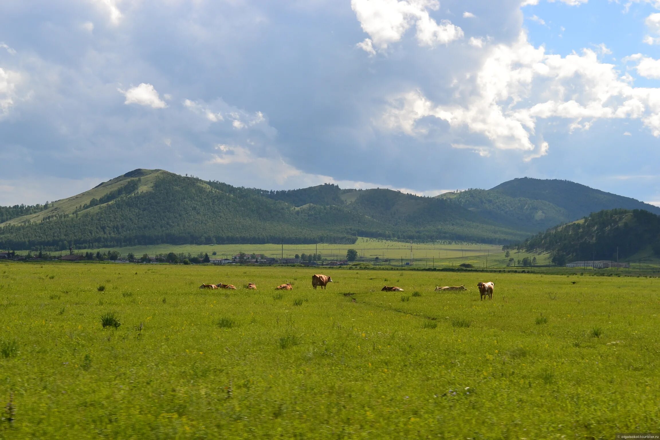 Хакасии отзывы. Хакасии отзывы. Река белый июс хакасия. Хакасии отзывы. Джирим ширинский район хакасия.