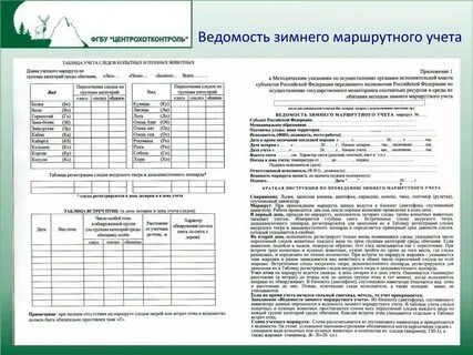Маршрутные методы учета