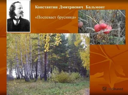 Стихотворение константина дмитриевича бальмонта осень