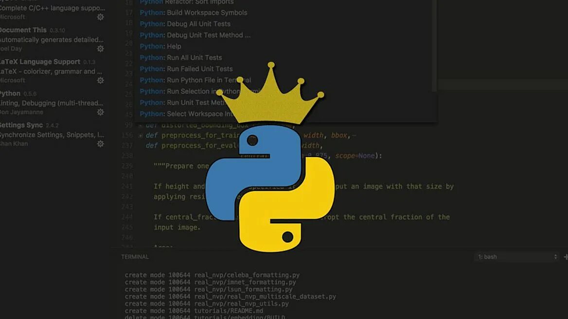 Python org. Пайтон язык программирования. Язык программирования питон 3. Программирование на Пайтоне. Программист Python.