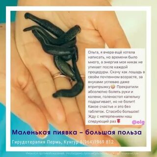 Курсы гирудотерапии