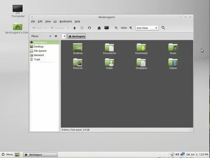 Mint x64