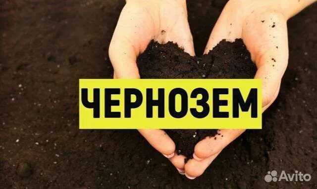 Русский чернозем работа. Реклама чернозема. объявления перегной. пивокуров чернозем. чернозем ярославль.