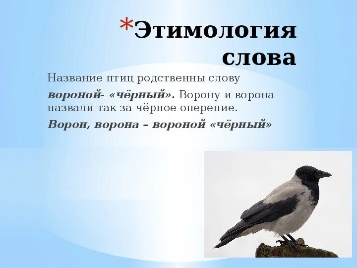 Называть этимология слова. Ворона этимология. Происхождение слова ворона. Происхождение названий птиц. Ворона и Воробей.