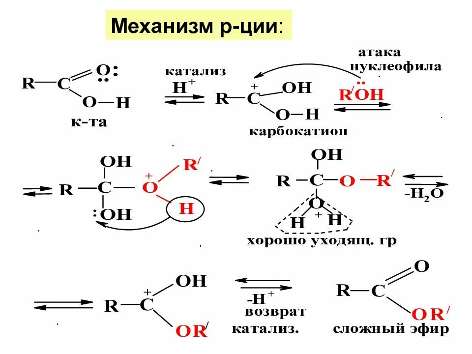 Механизм sn1 карбоновая кислота. Схема электрофильного катализа. Механизм присоединения нуклеофила к карбоновым кислотам. Реакции нуклеофильного замещения в карбоксильной группе. Цепи карбоновые кислоты