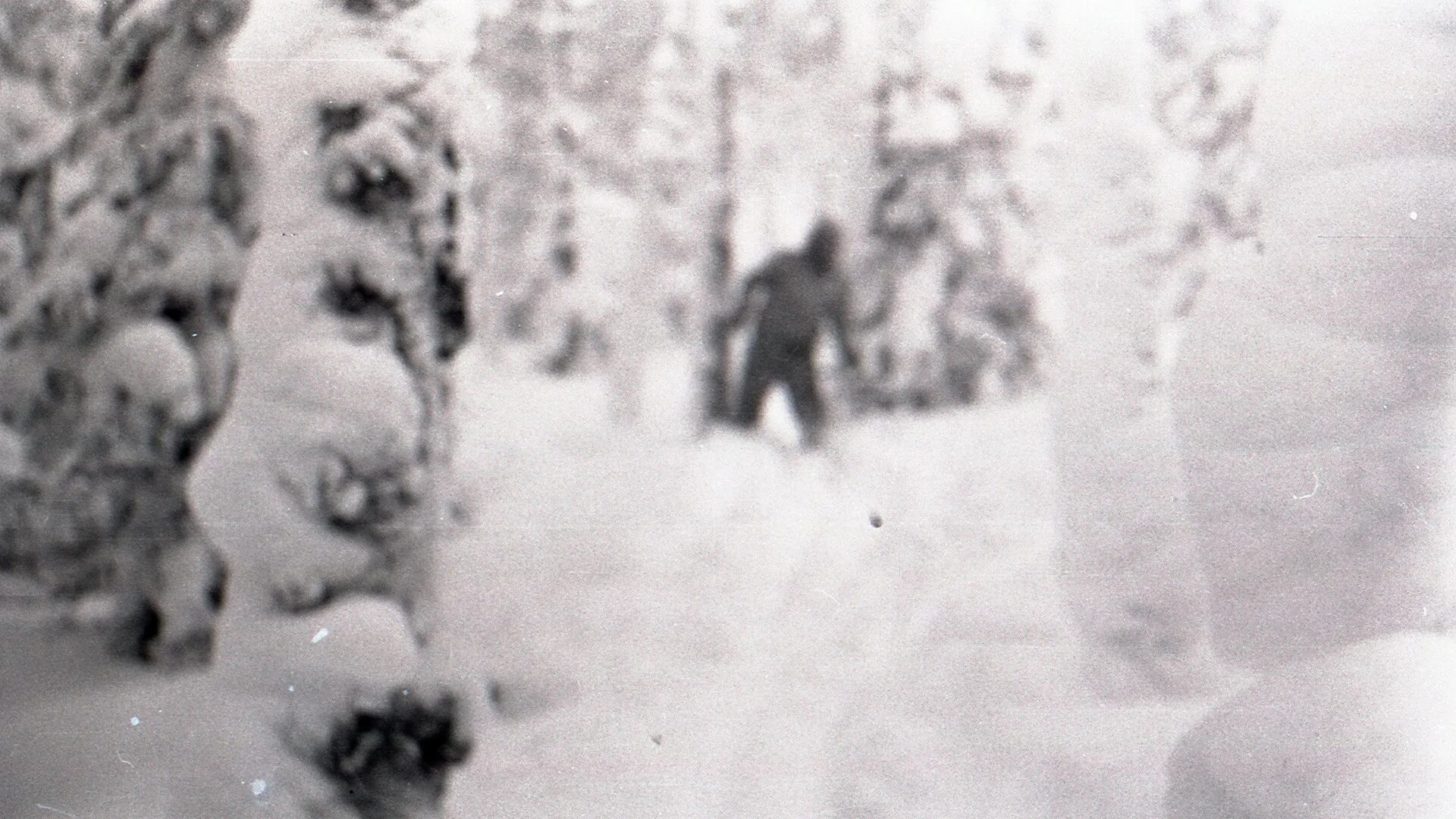 Перевал дятлова снежный человек. Дятлов снежный человек. Перевал дятлова снежный человек. Гибель группы дятлова йети. Дятлов снежный человек.