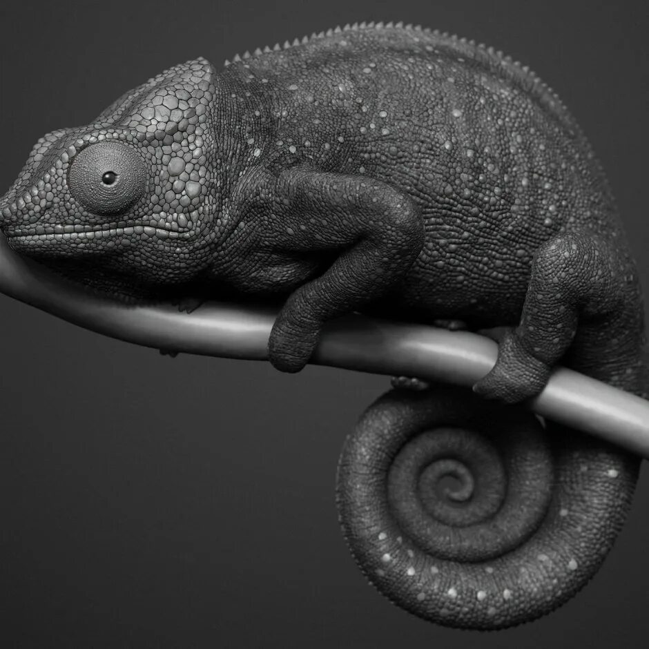 Хамелеон д. Zbrush ящерица. Хамелеон скульптура. Хамелеон 3д. Хамелеон картинки.