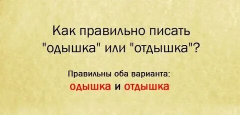Заедете или заедите как правильно