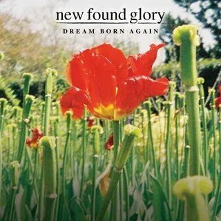 Dreaming glory