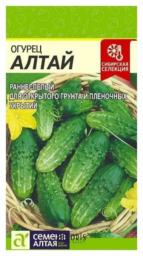 Болгарин семена алтая. Семена алтая огурцы для открытого грунта. семена алтая огурцы 5шт семян в пачке. огурец алтай семена алтая. ранний сорт огурцов семена алтая.