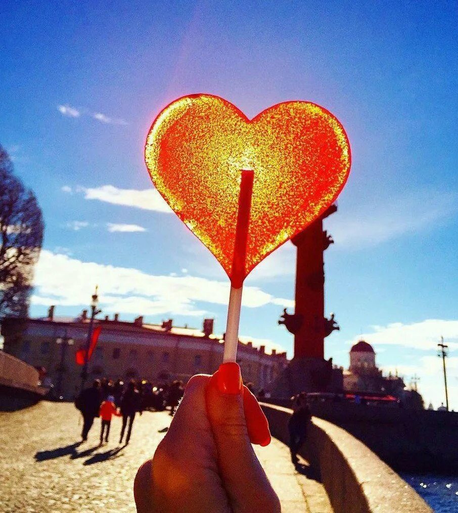 Питер природа красивые места. Петродворец ольгин пруд. Природа любви спб. Санкт-петербург лето. Город пушкин екатерининский парк.