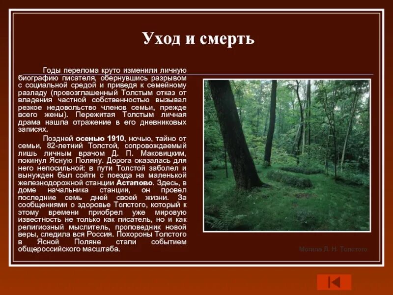 Лев Николаевич толстой смерть. Биография л н Толстого смерть. Смерть Льва Николаевича Толстого. Биография Толстого смерть.