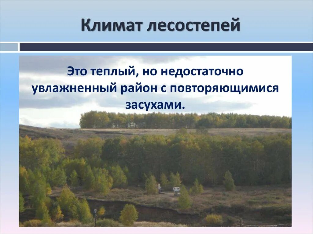 Экологические проблемы природной зоны лесостепи. Климат лесостепи. Климат лесостепи в России. Зона лесостепи климат. Климатические условия лесостепи и степи.