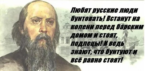 Любит русский народ бунтовать. Салтыков-Щедрин о патриотизме. Русские классики о патриотизме. Властей должен сам