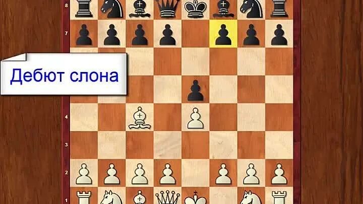 Дебют слона. Шахматы дебют слона. шахматные дебюты для начинающих. дебют слона за черных. красивый дебют в шахматах.