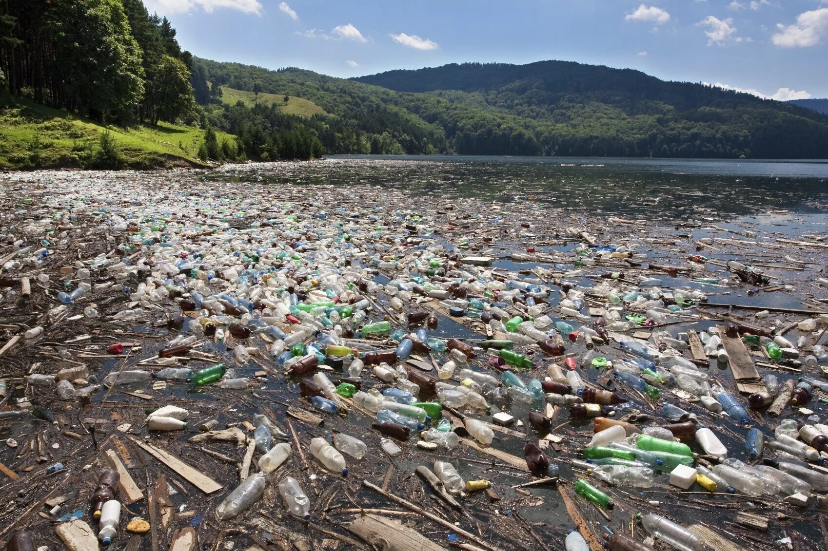 Загрязнение водохранилища. Загрязнение водоемов. Загрязненные водоемы. Загрязнение природы. Водоем загрязнен.