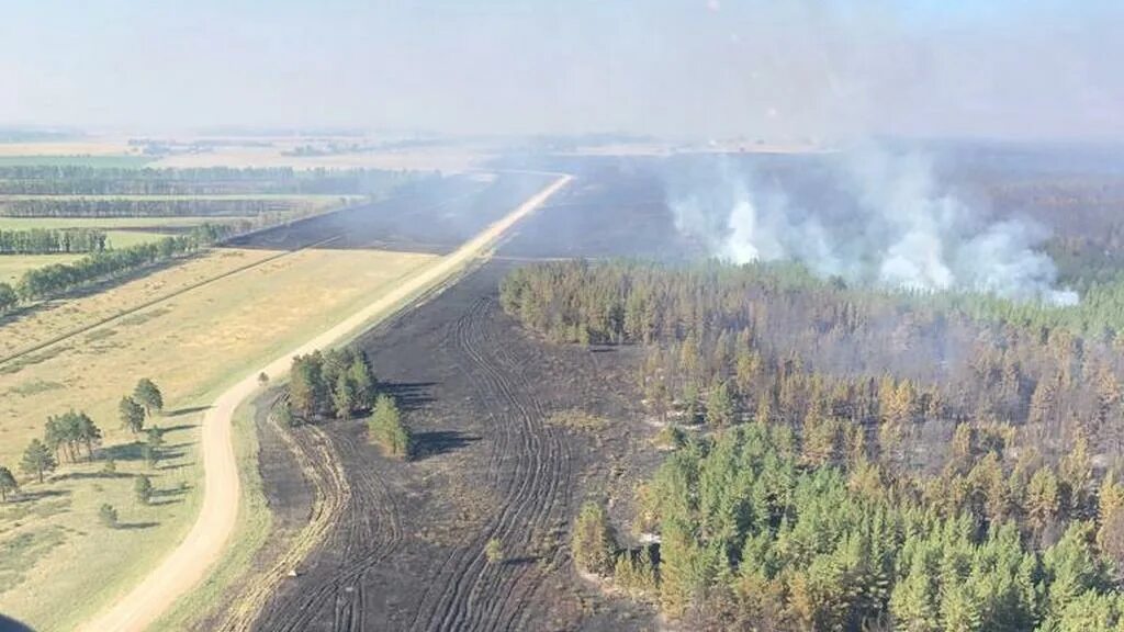 пожар в алтайском крае леса. селевые потоки в горах. край угрожать. край угрожать. тайфун на дальнем востоке.