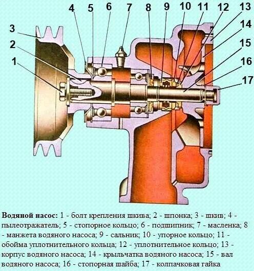 Как разобрать водяную помпу