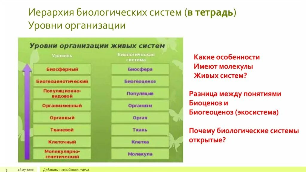 Уровни организации живых биологических систем. Иерархия биологических систем. Иерархия уровней организации живого. Уровни организации биология. Биологические системы используют