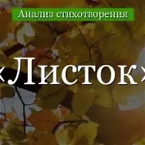 Ты шелест нежного листка анализ