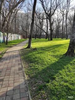 Парк роща адрес