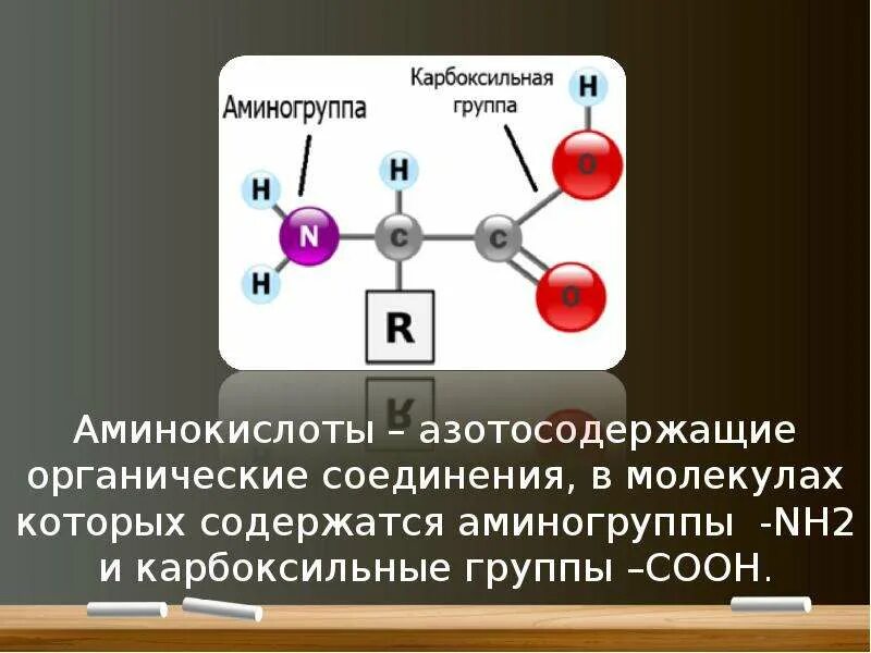 Аминокислоты аминогруппа карбоксильная группа