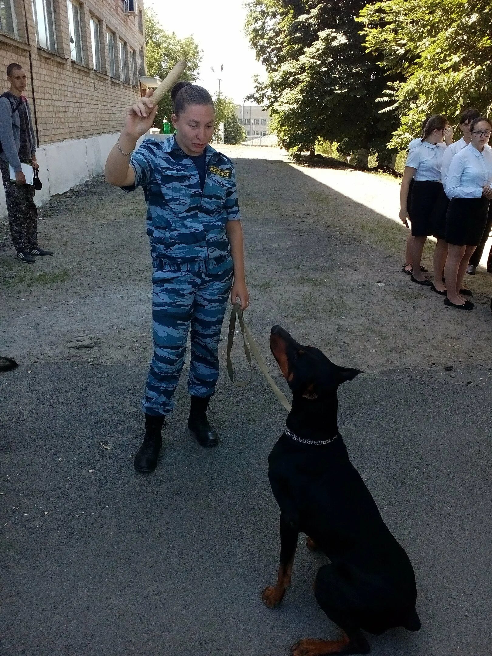 Константиновский техникум агроветтехнологий и управления. Константиновск колледж кинолог. Константиновский сельскохозяйственный техникум кинология. Техникум Константиновск Ростовская кинологич.