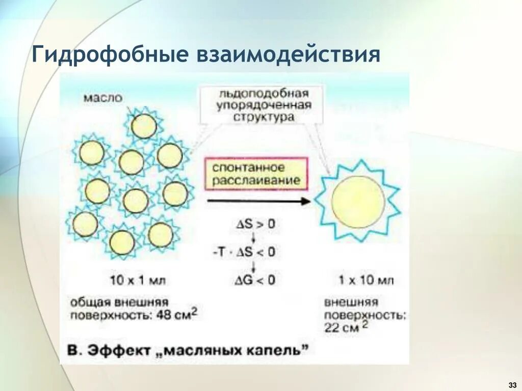 Гидрофобные радикалы повернуты внутрь глобулы. Гидрофобные межмолекулярные взаимодействия это. Неполярные гидрофобные взаимодействия. Гидрофобные взаимодействия неполярных групп. Гидрофильно гидрофобные взаимодействия.