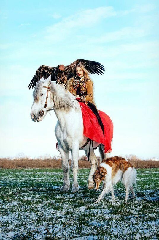 Фотосессия с лошадьми. Конь девушка собака. Фотосессия с лошадкой зимой. Русская псовая борзая псовая охота. Женщина лошадь собака.